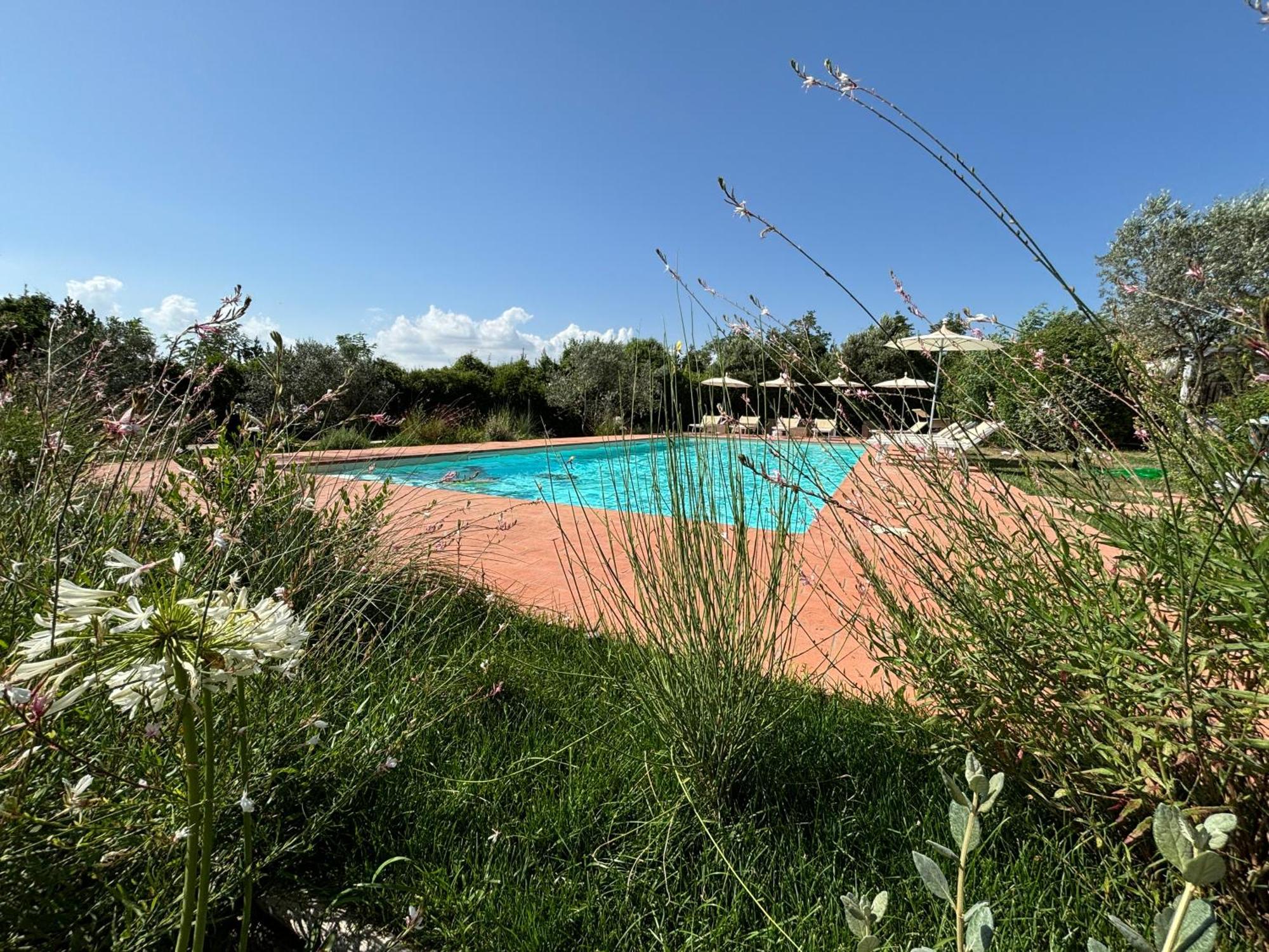 Nonna Nara Bed & Breakfast Grosseto Exteriör bild