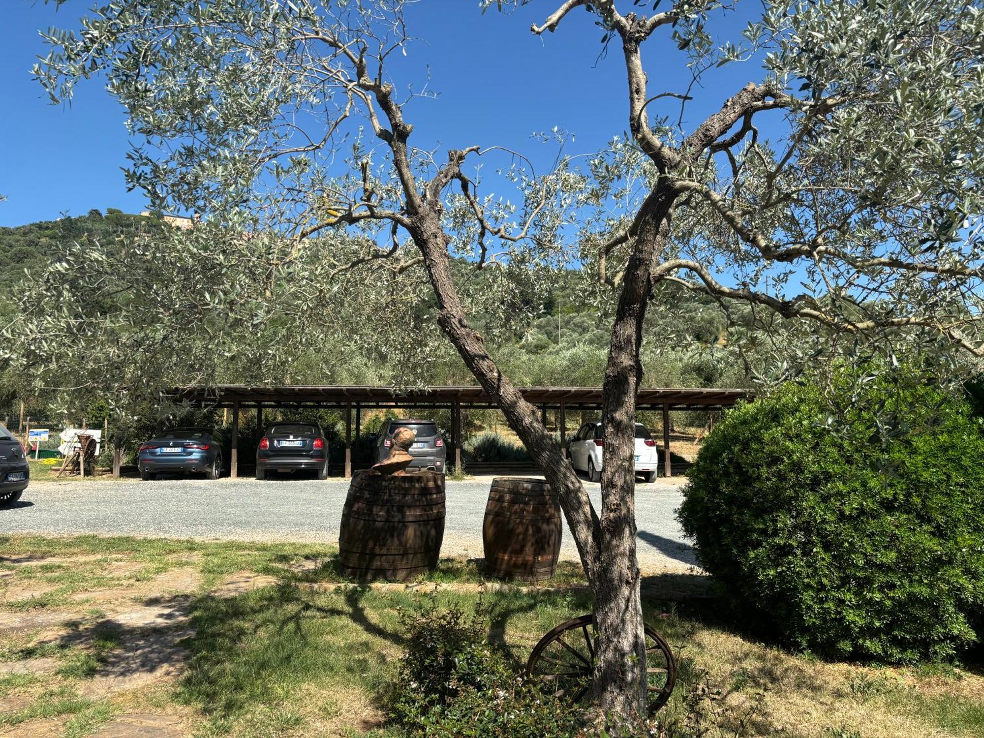 Nonna Nara Bed & Breakfast Grosseto Exteriör bild