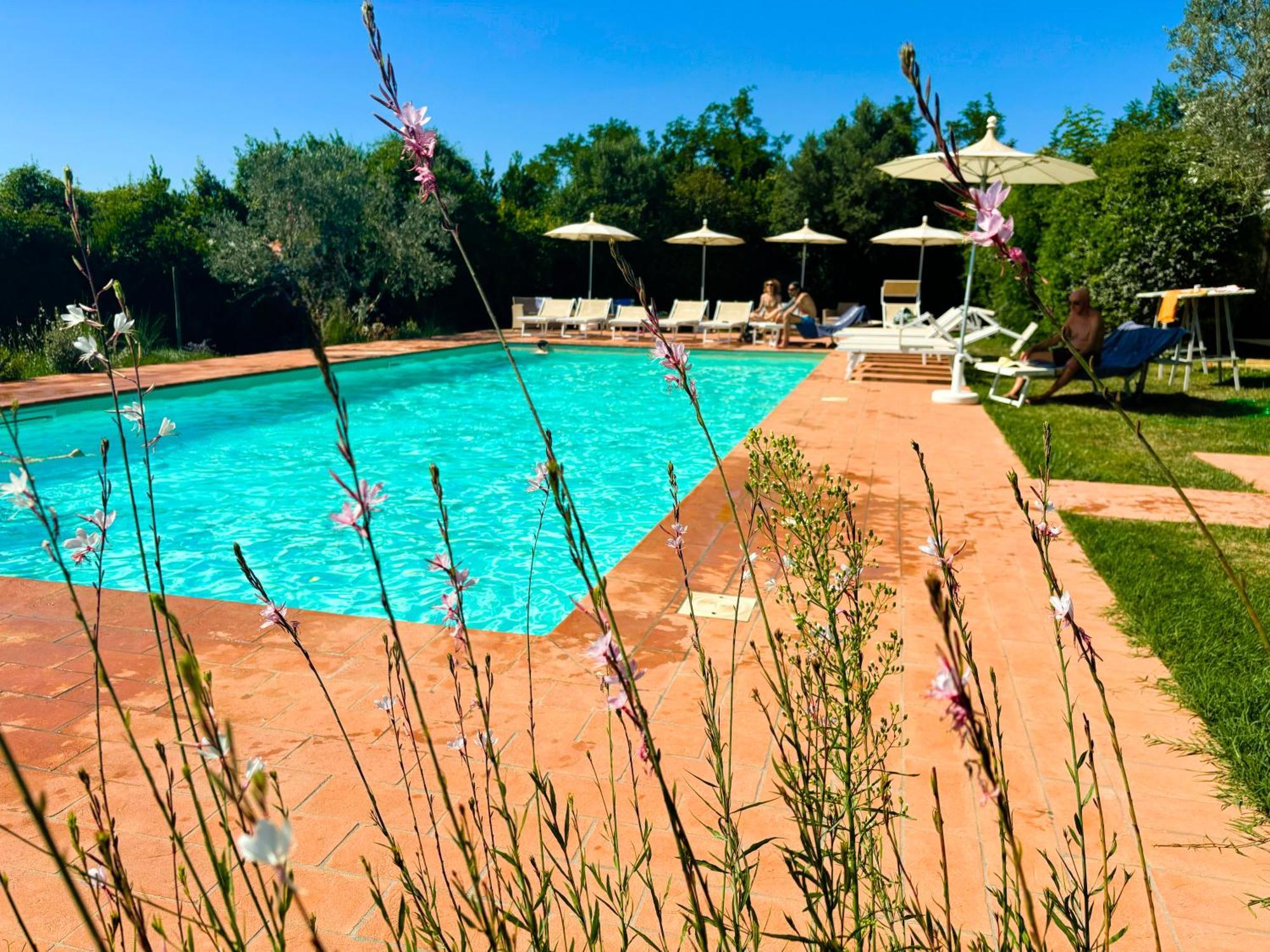 Nonna Nara Bed & Breakfast Grosseto Exteriör bild