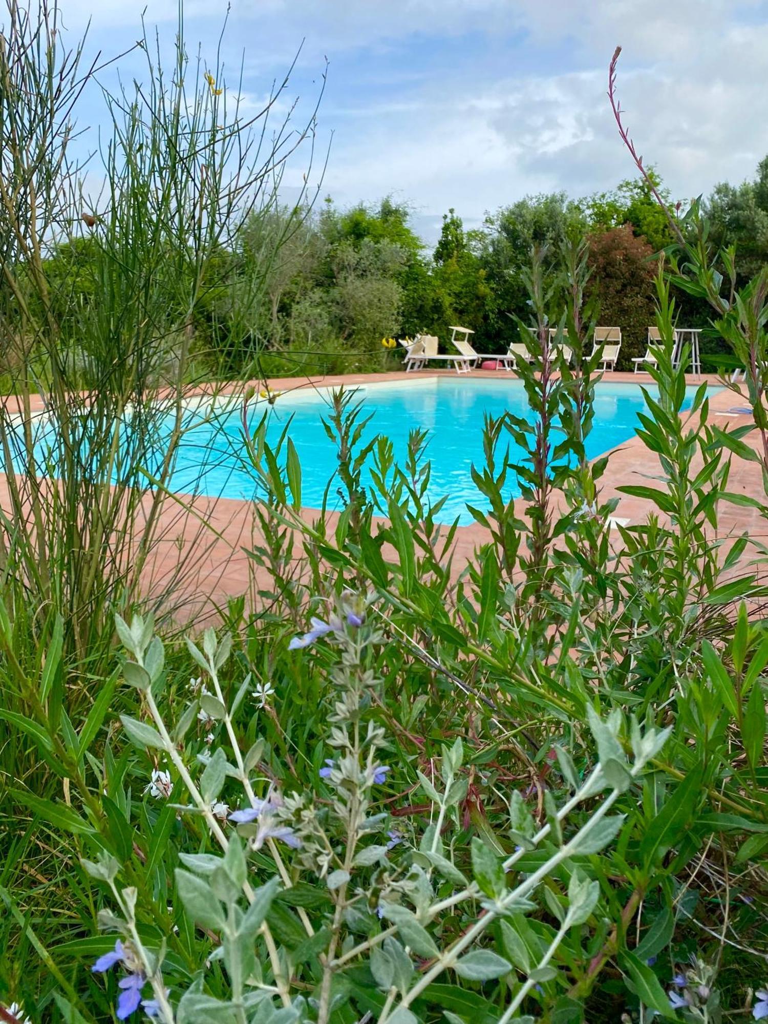 Nonna Nara Bed & Breakfast Grosseto Exteriör bild