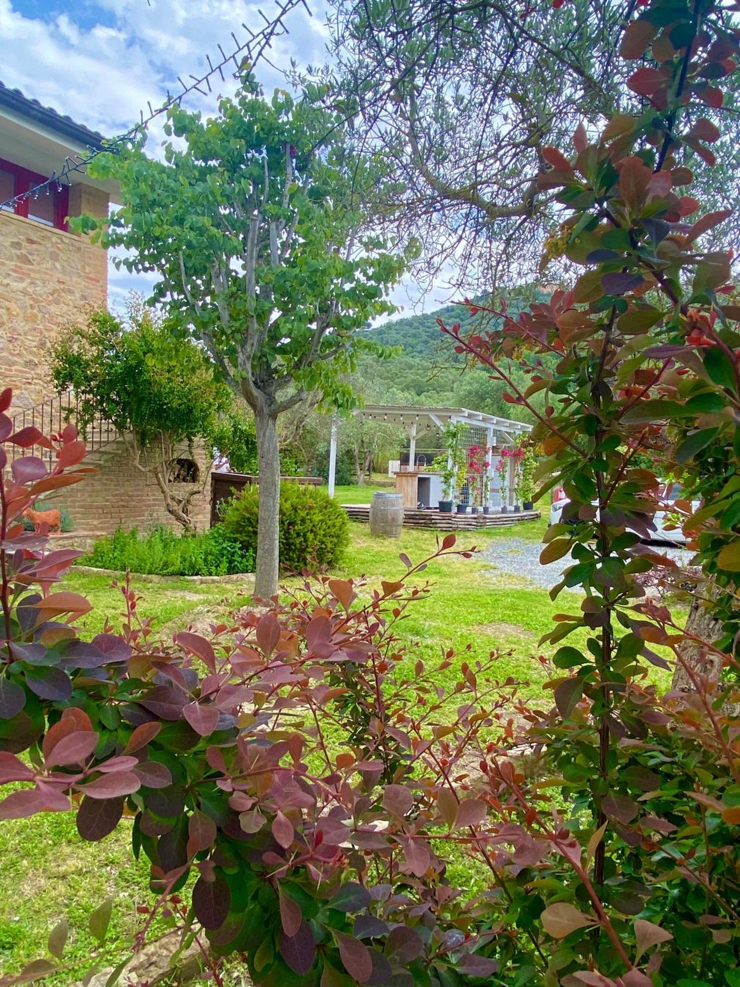 Nonna Nara Bed & Breakfast Grosseto Exteriör bild